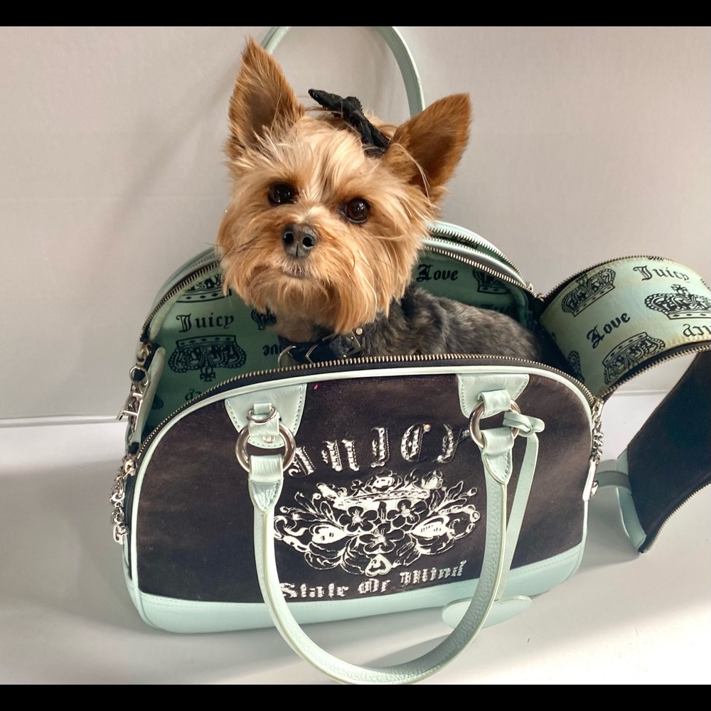 Juicy Couture Pet Carrier. Mint green/black/silver